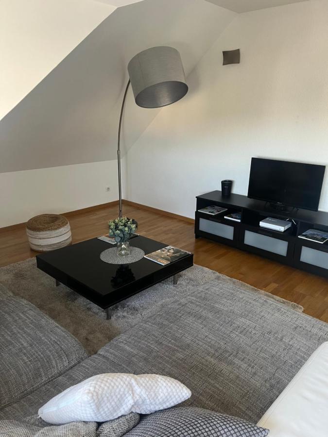 Bel Appartement Centre Climatise Parking Prive Colmar Buitenkant foto