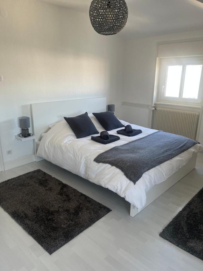 Bel Appartement Centre Climatise Parking Prive Colmar Buitenkant foto